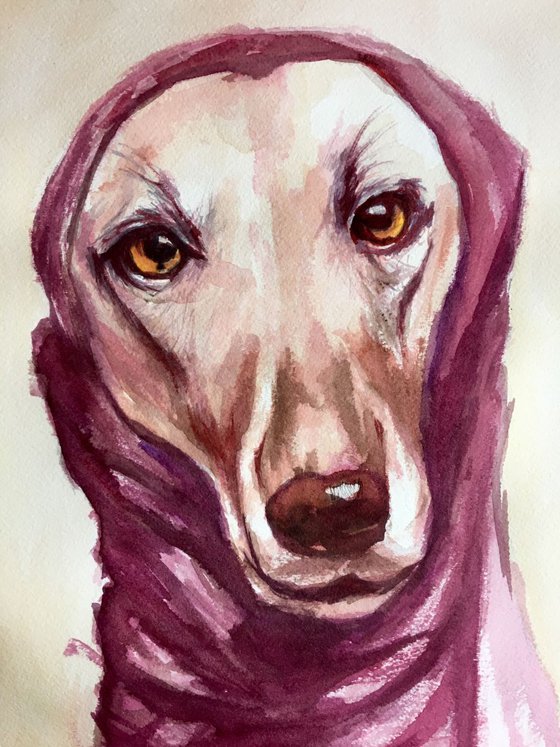 Bellamy Greyhound Portrait II