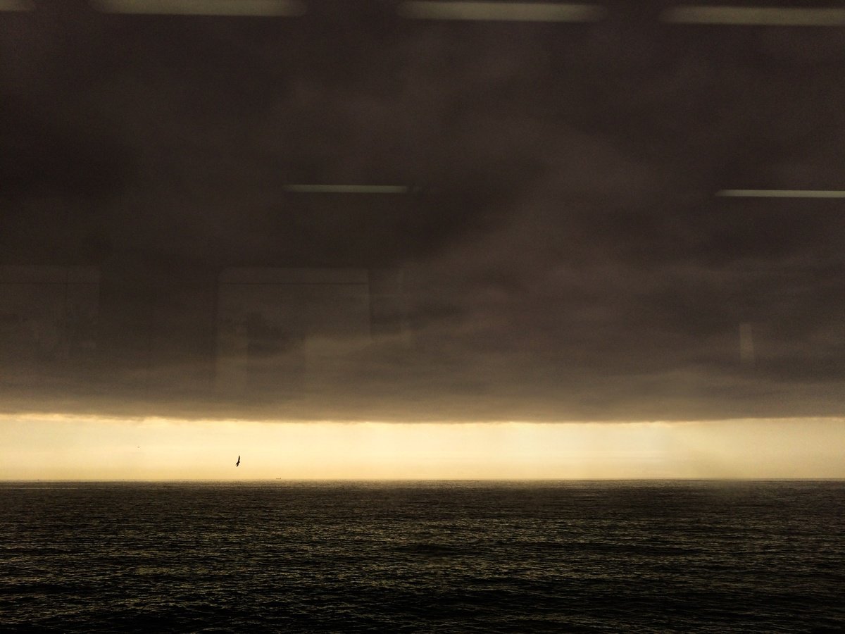 Expressive Landscape Photograph By Frankie Malone, 13 X 10, Bird, Horizon & Storm, Original Artwork