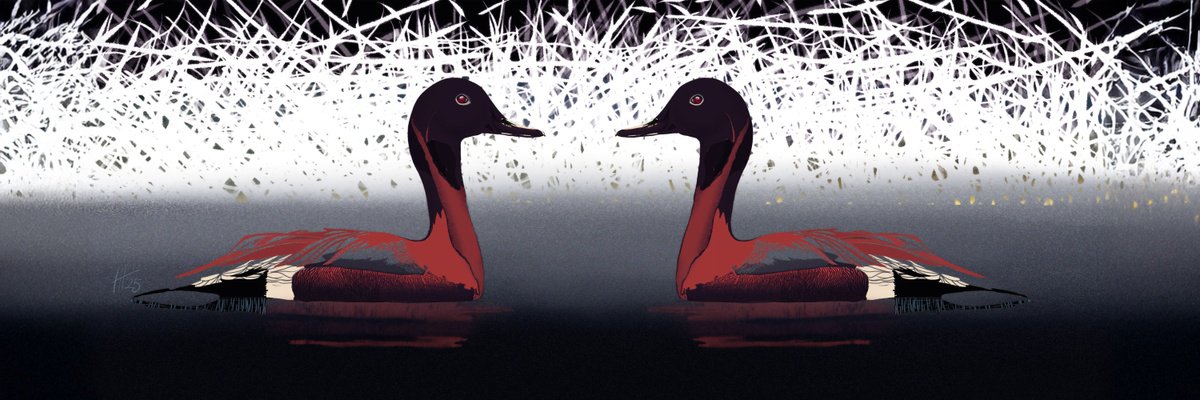 Illustrative Animal Print By Hilde Hoekstra, 47 X 16, Water Birds, Original Artwork