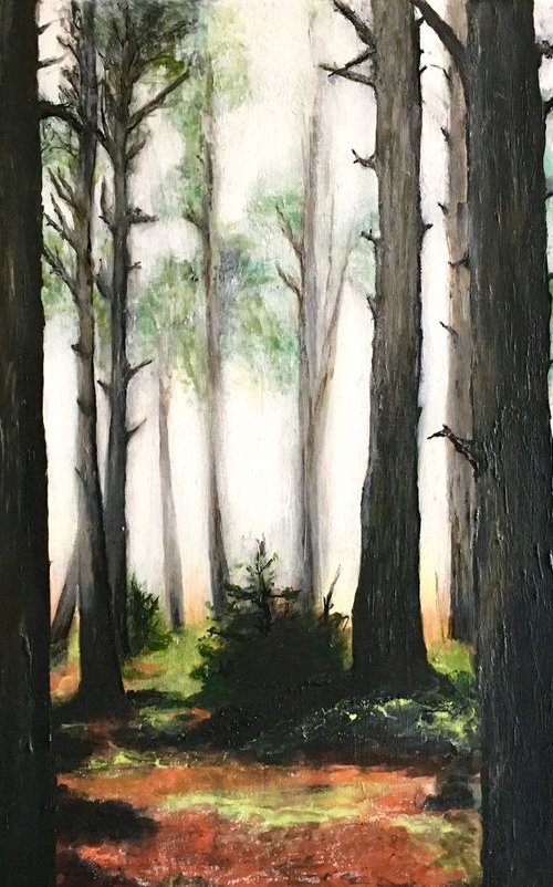Forest, Orange Forest by Paul Hardern