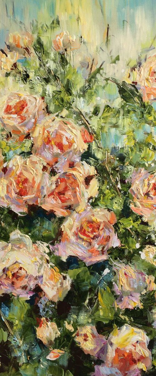 Roses by Diana Malivani