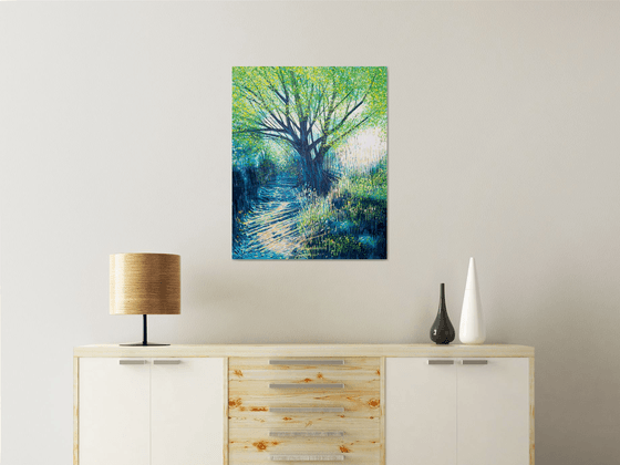 Light Through Summer Trees