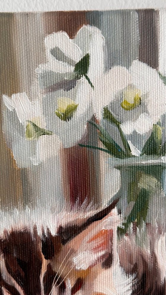 The Purrfect Chapter