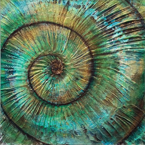 Ammonite