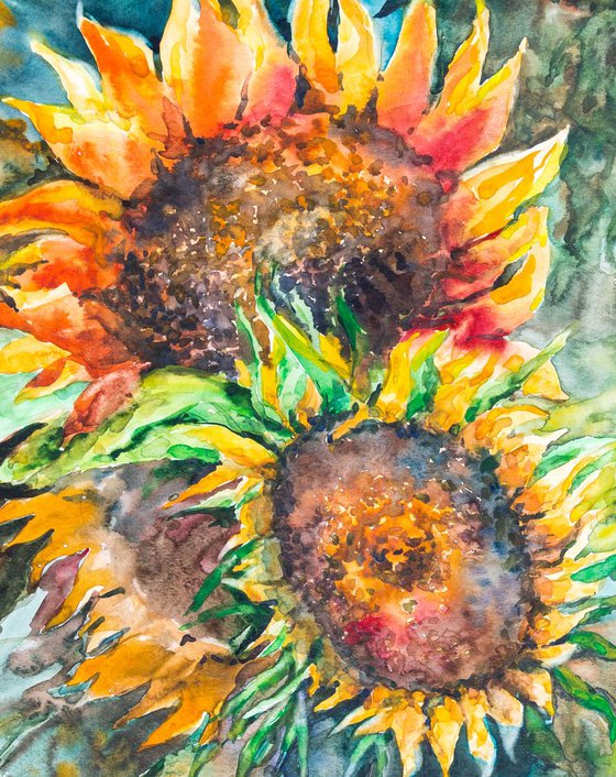 Sunflowers