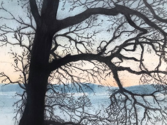 Twilight Trees