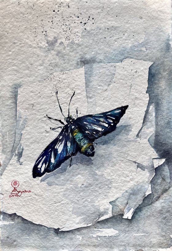 Insectopia/Blue