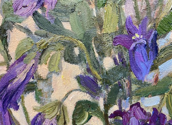 Bouquet of bellflowers