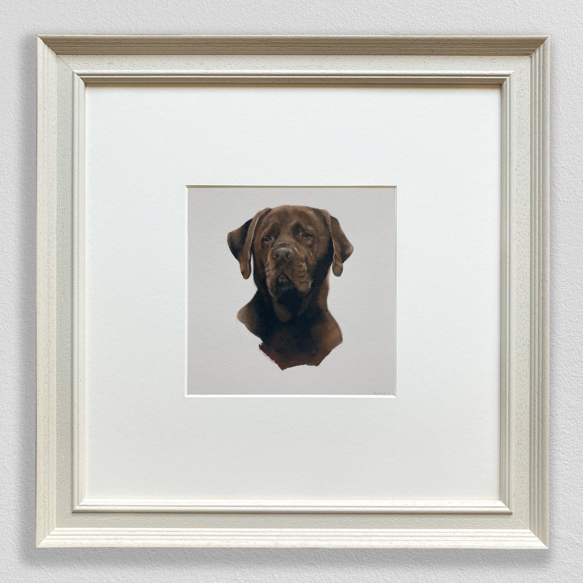 Labrador Portrait by Matt Foy