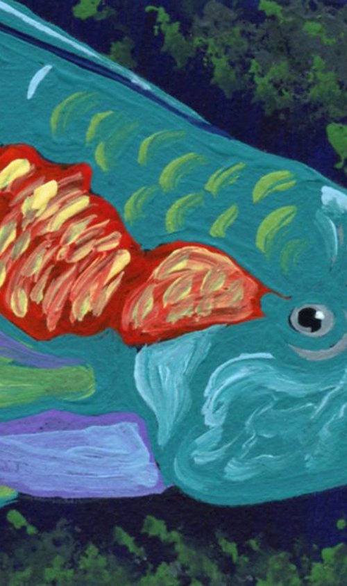 Parrotfish by Carla Smale