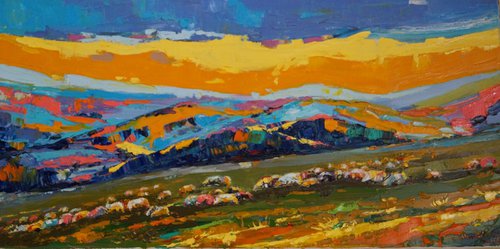 Sheep on meadow by Bogdan Vynarchyk