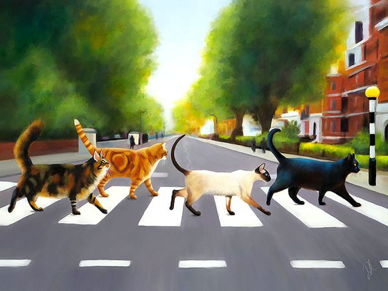 Abbey Road Cats