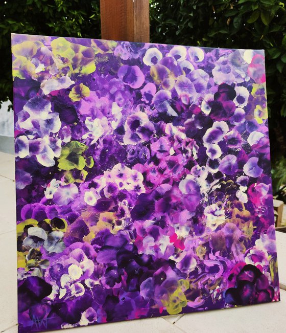 Violet Drift