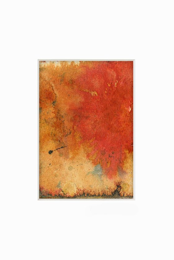 Seeking Spirit Collection 1