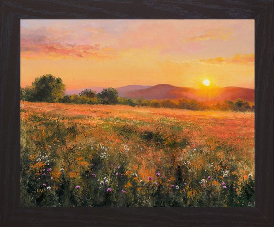 Golden sunset among wildflowers