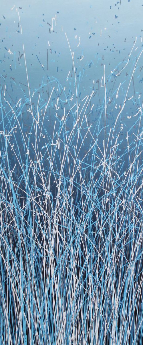 Wetlands by William Mills