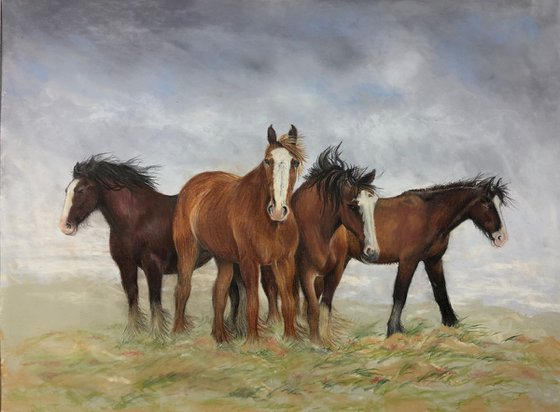 Windswept Horses