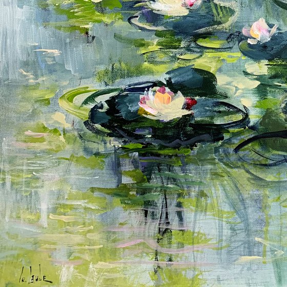 The water lily pond II