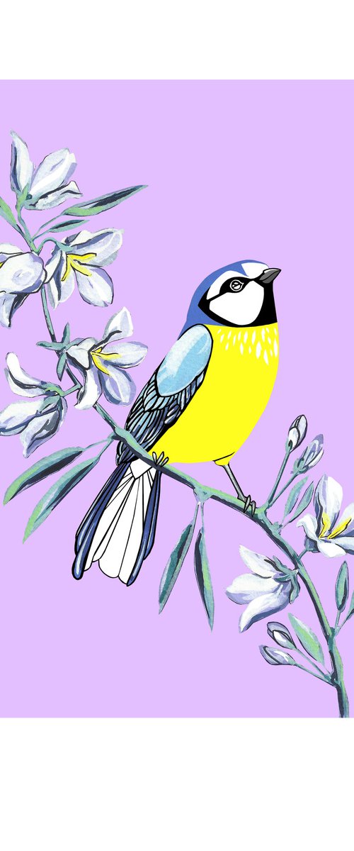 Blue Tit and Bellflower (print) by Fran Giffard