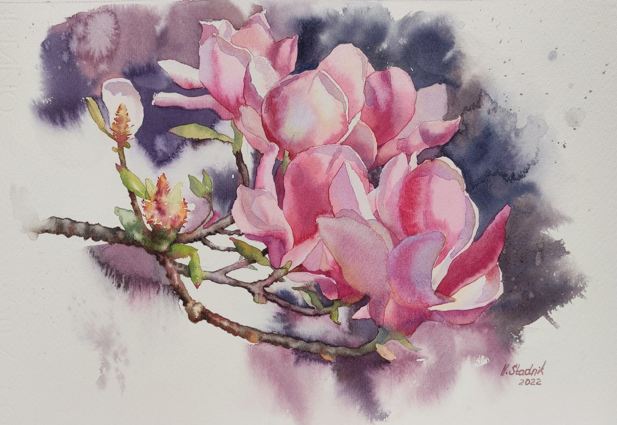 Ukrainian watercolor. Pink magnolias in Wroclaw. Stolen spring by Nina Zakharova