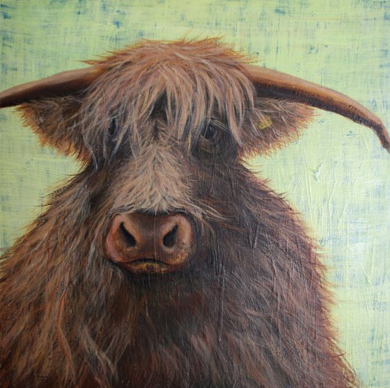 Highland Cow /  ORIGINAL PAINTING