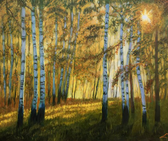 Birch forest