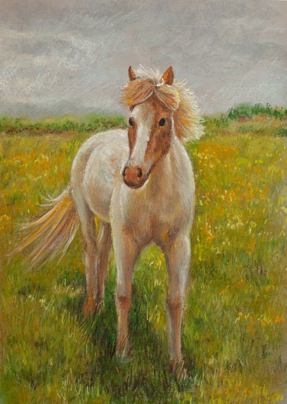 Soft pastel original drawing of lovely horse
