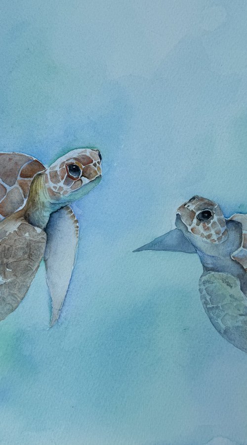 Turquoise Turtles by Seonaid Parnell