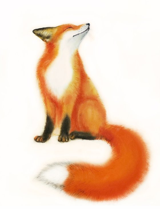 Red Fox - foxy - fox portrait - fox watercolor - fox looks upwards