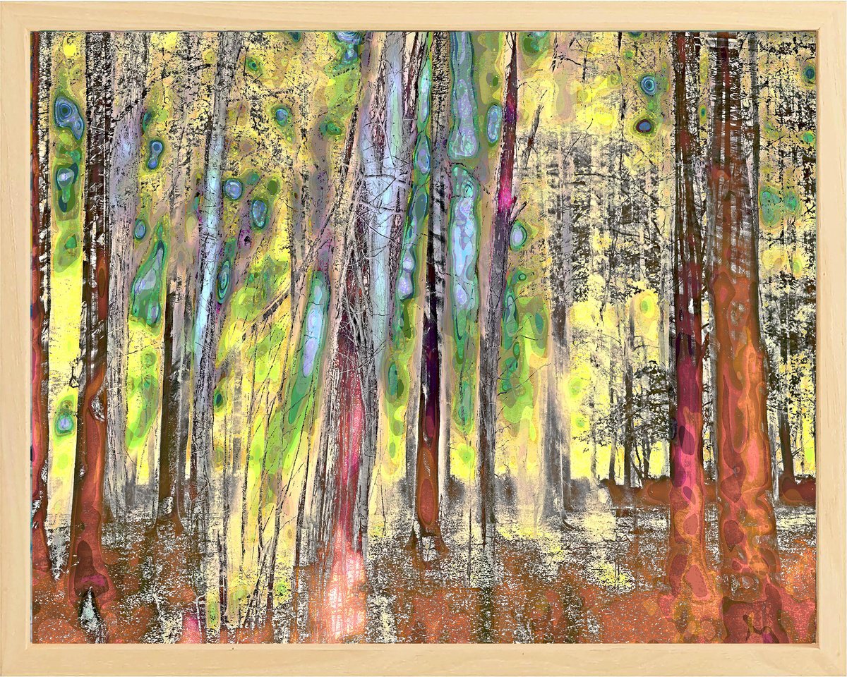 Organic Landscape Photograph By Geert Lemmers Fpa, 41 X 33, Mystifying Forrest 5, Original Artwork