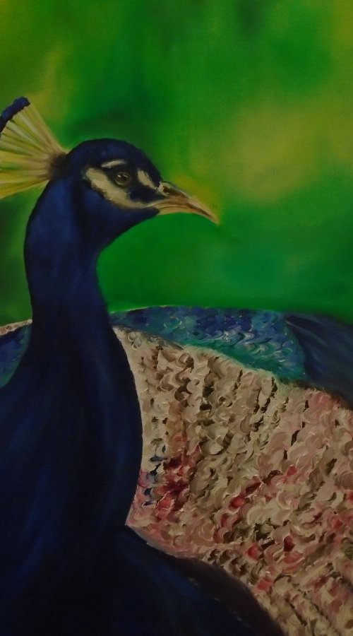 Peacock by Timea  Valsami