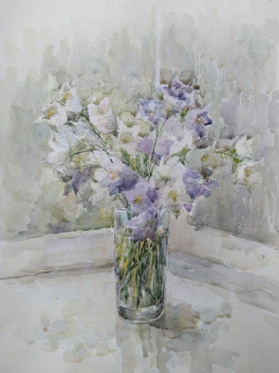 Campanula. Original watercolour painting 2020