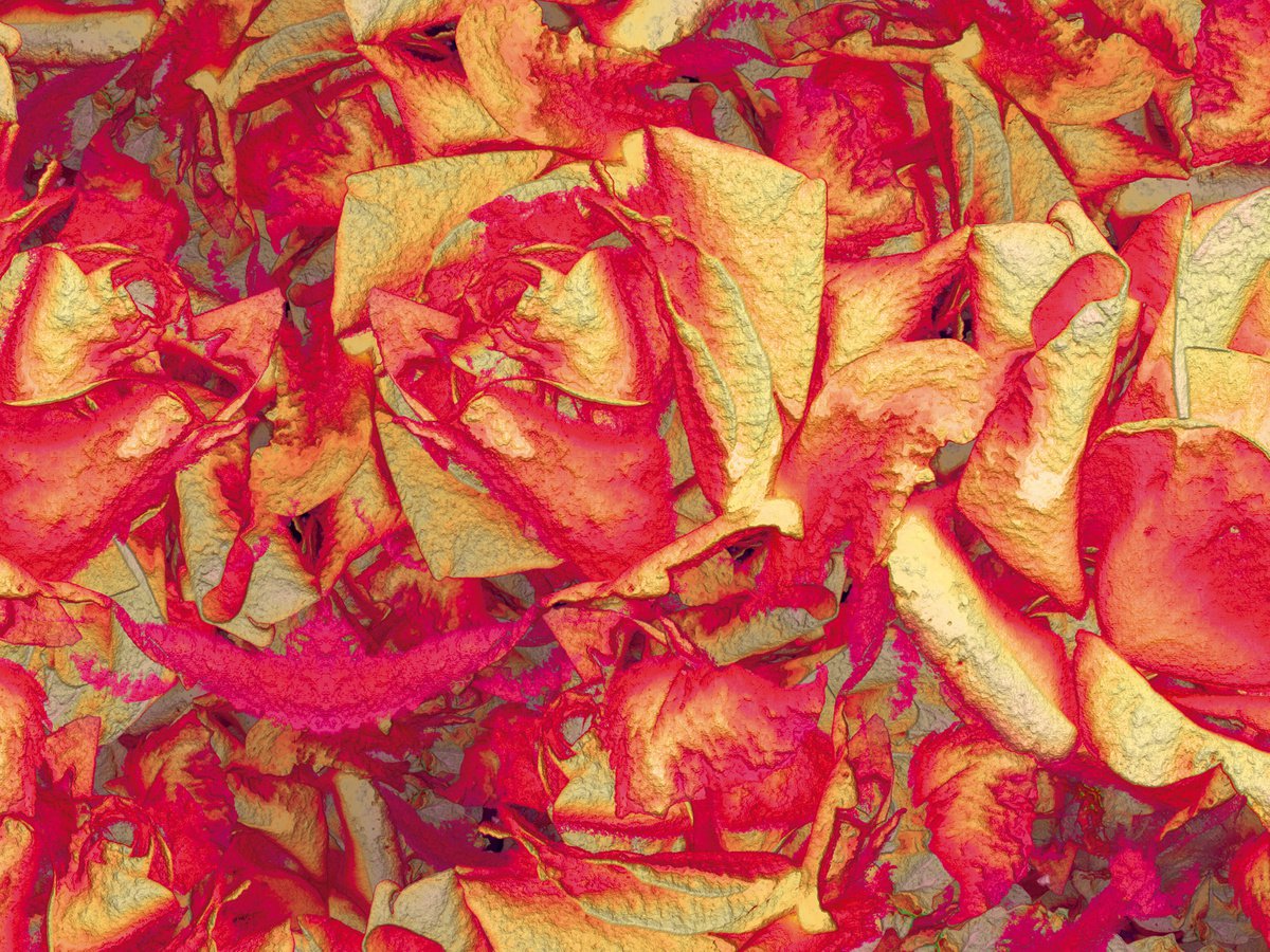 Abstract Botanical Print By Javier Diaz, 79 X 60, Tapices Iv/Xl Large Original Artwork, Original Artwork