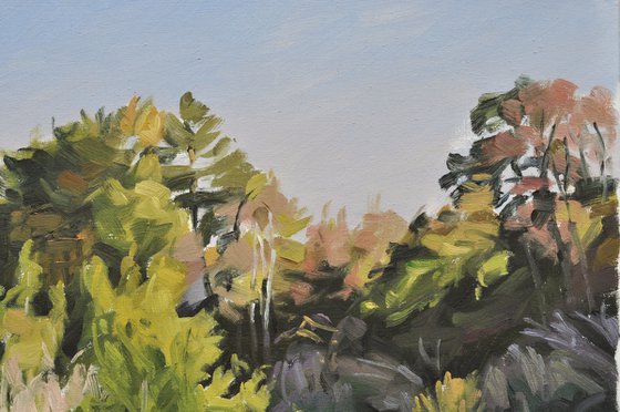 Autumn evening on the Loire river