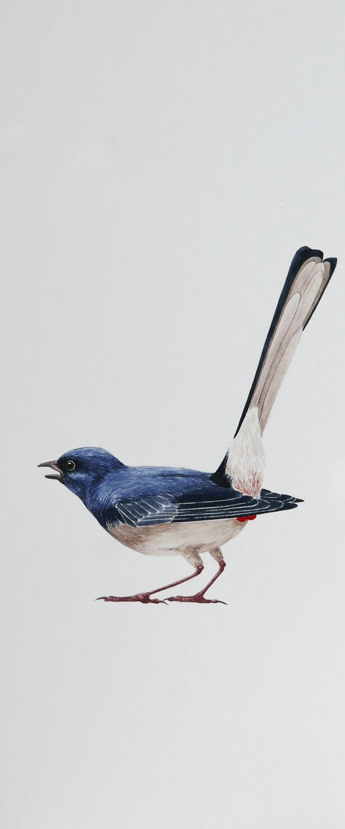 Funny bird with balls by Karina Danylchuk