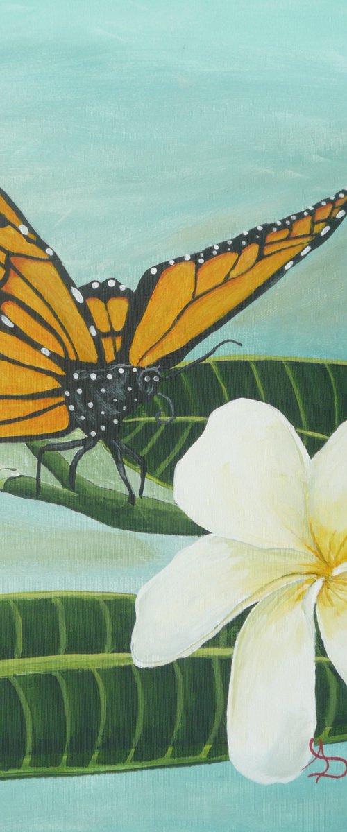 Monarch by Dunphy Fine Art