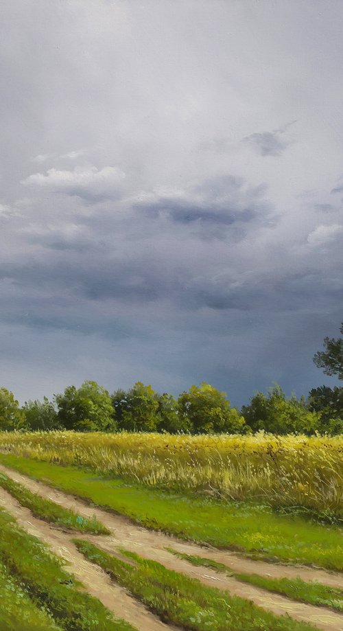 Before the storm by Eduard Zhaldak