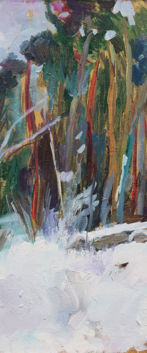 Winter forest by Artem Andreichuk