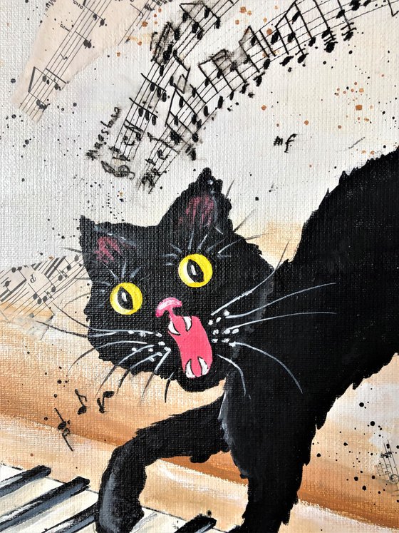 Black cat