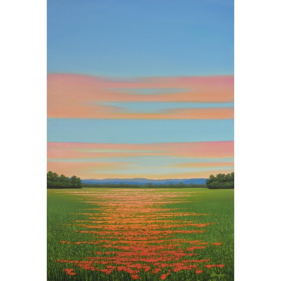 Twilight Blush - Flower Field