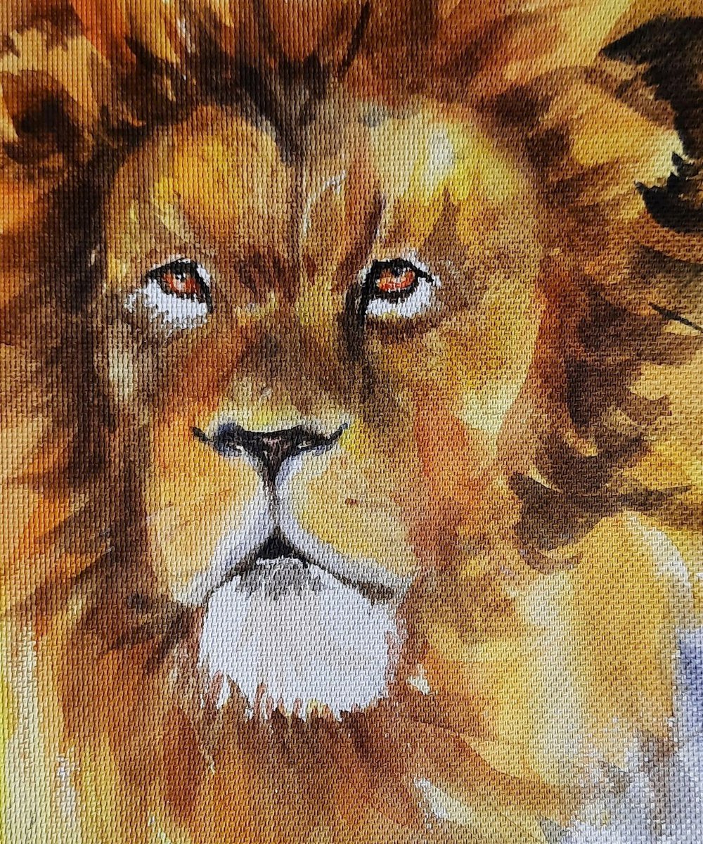 The Lion King 2 Watercolor Wild Cat Wildlife Art 8.2x 11.25 by Asha Shenoy
