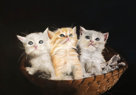 ,, Kittens''