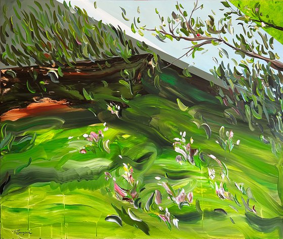 Where light takes root