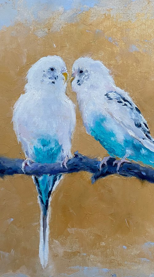 Parrots in love by Elvira Sultanova