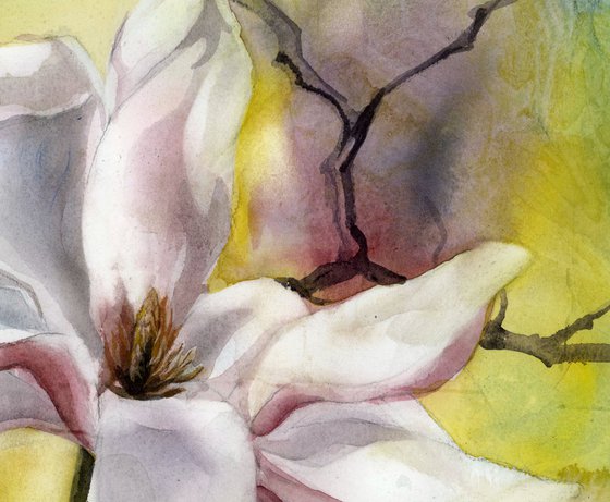 magnolia in pink watercolor floral