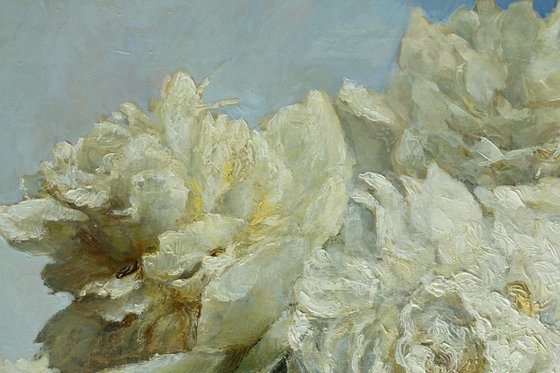 White peonies .