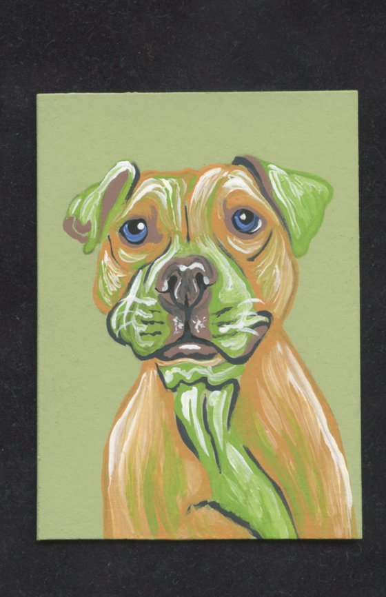 ACEO ATC Original Painting Pit Bull Pet Dog Art-Carla Smale
