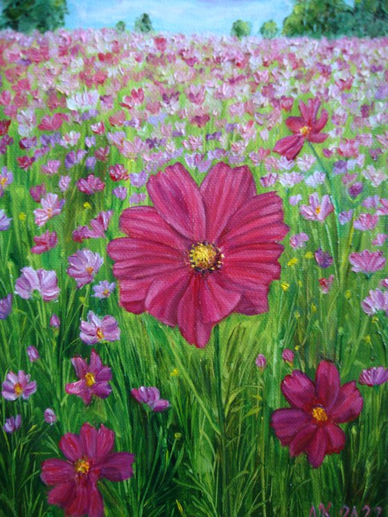 Flowers of summer