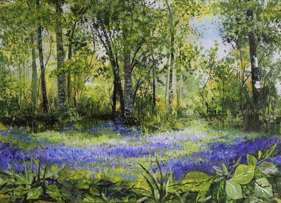 Woodland Bluebells