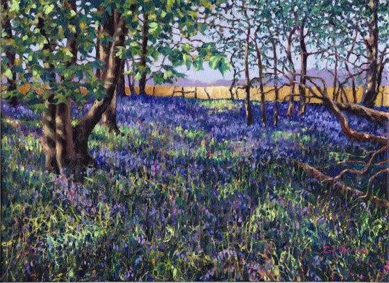 Bluebell Wood